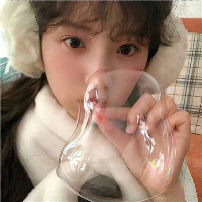 狮子护卫队第一季